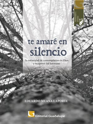cover image of Te amaré en silencio